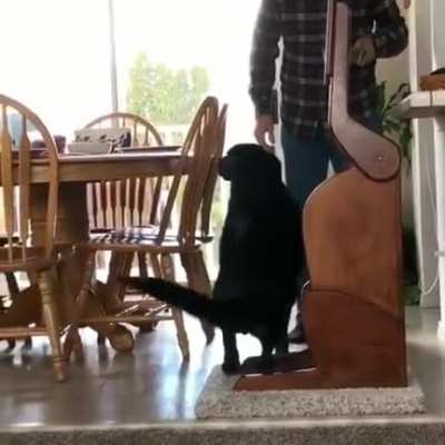 Meal time