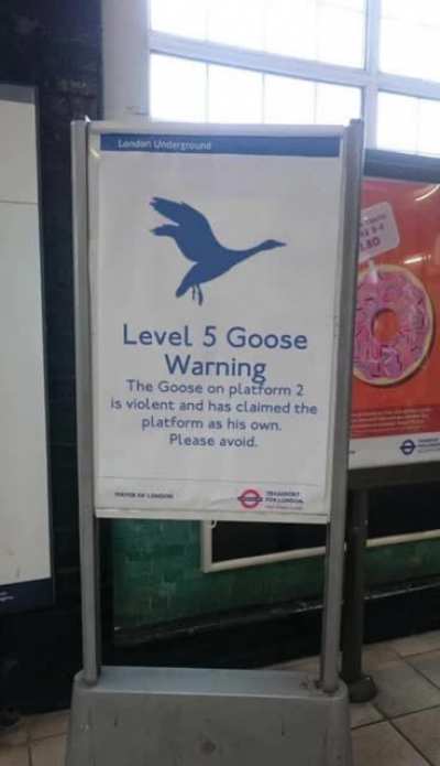 blursed_sign