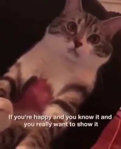 If you're happy and you know it say 