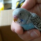Sleepy