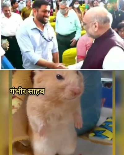 Yha bhi aa rhe ho kya Thala..
