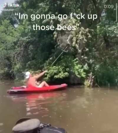 swarm
