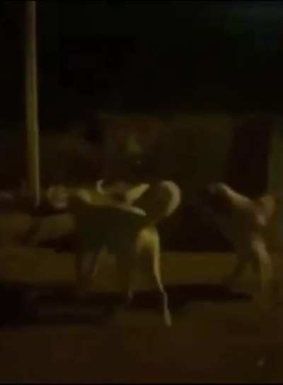 klavye delikanlılığı..