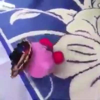kirby mexicano