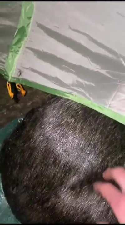 To camp alone