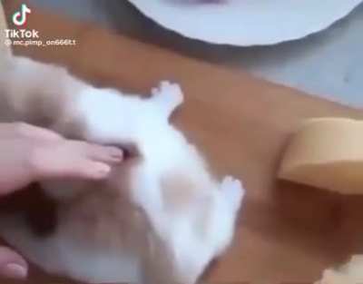 would you eat him or spare him?