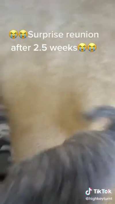 Wholesome abrupt chaos