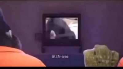 Monke still standin