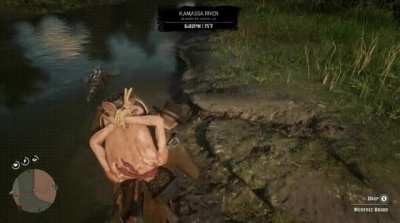 Gator’d
