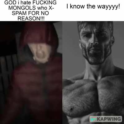The 
