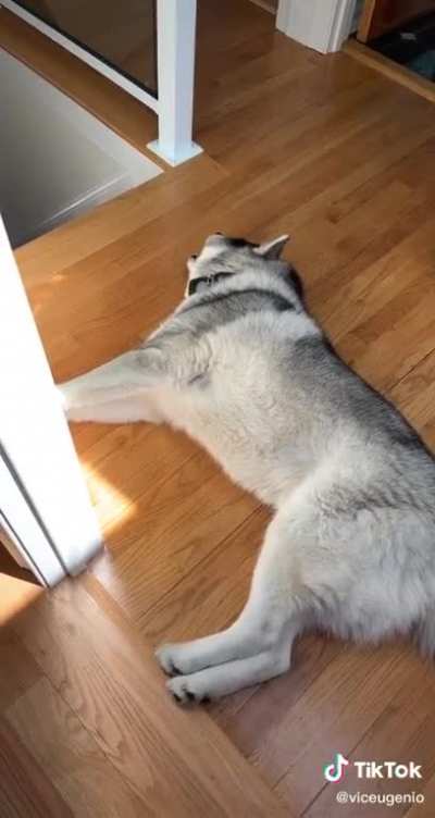 His soul has left his body