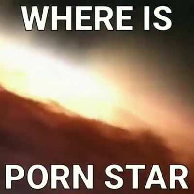 penis