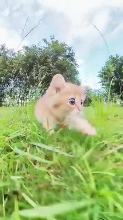 First walking out