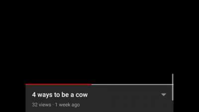 Moo
