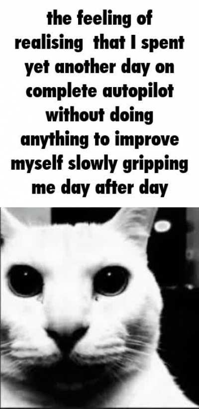 Anyway. How's your day?
