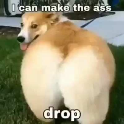 Is it good for this subreddit ?