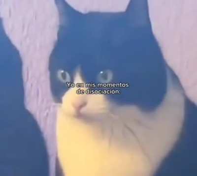 Ah caray