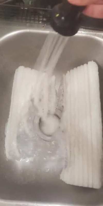 Monkey Brain Pleased By Styrofoam