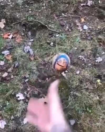 whoosh