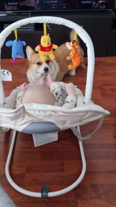 My 