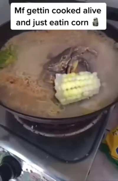hello guys today we have a list of top 5 crab