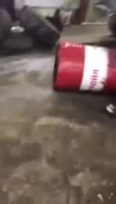 blursed_repair