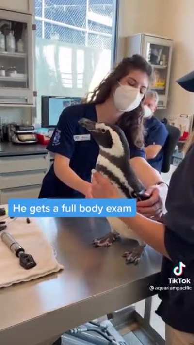 Time for his annual checkup