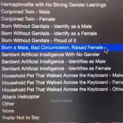 WTF
