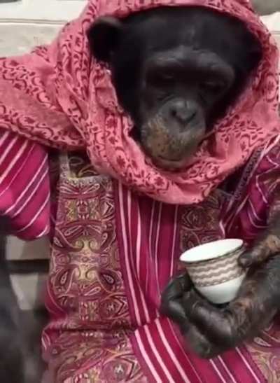 He got the drip doe