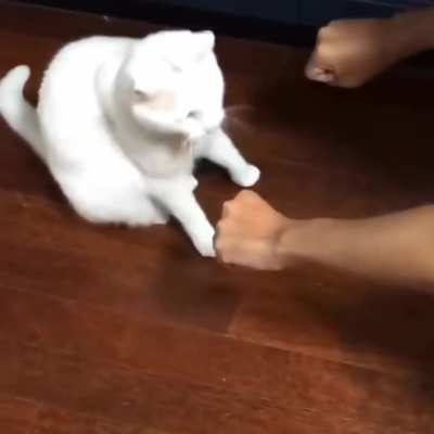 Wunky idiot