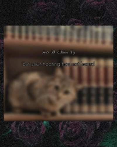 Turn Back to Allah