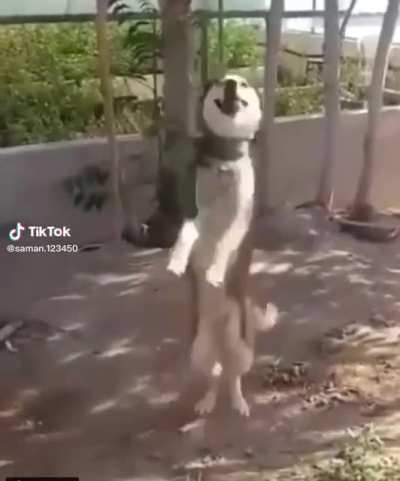 🤣