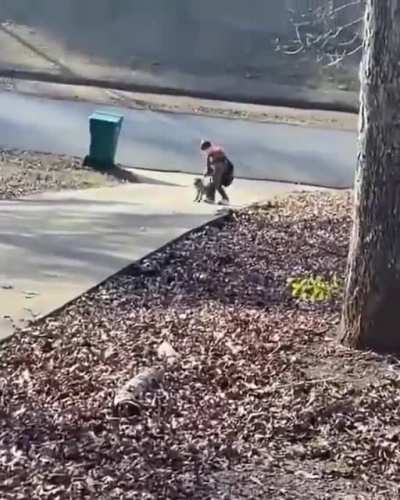 Favourite part of his day when the school bus arrives