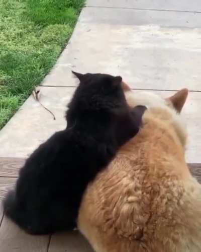Together