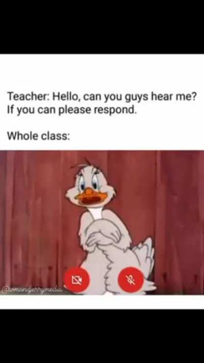 Online classes
