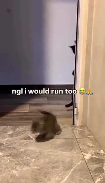 terror