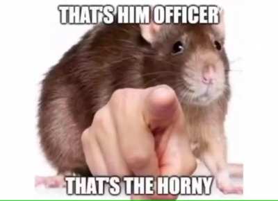 This video will make Charmx horny.