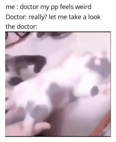 that be a cat