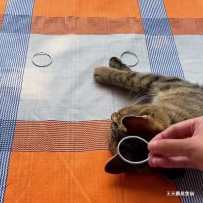 Ring Toss