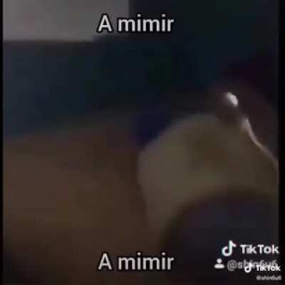 a mimir