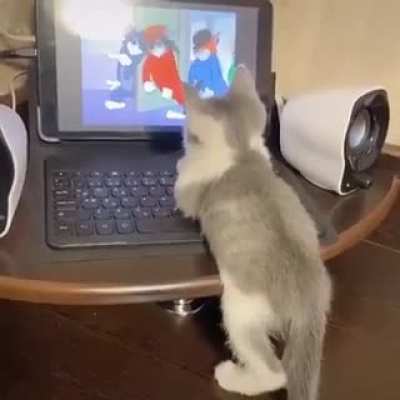 Любимый мультик