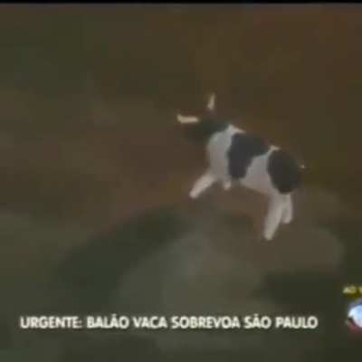 Medo.
