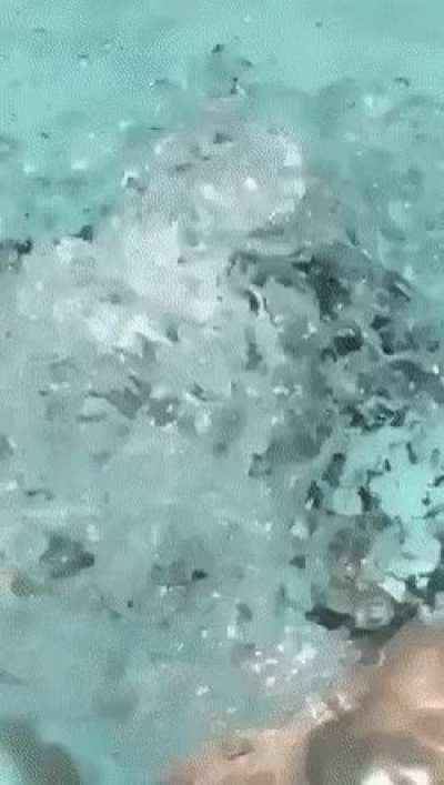 Accident Reveal