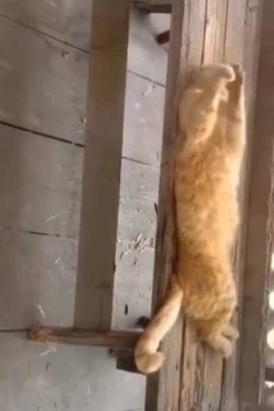 oooops