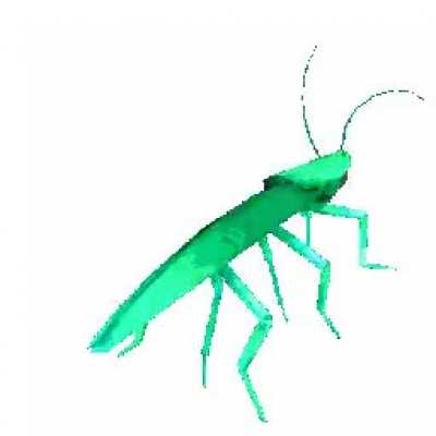 For those who cant find a picture