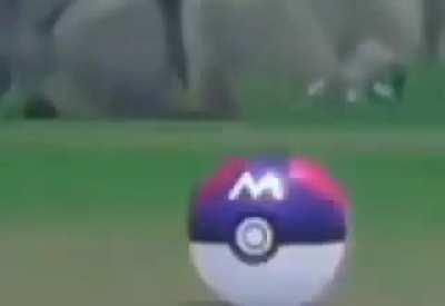 Bidoof