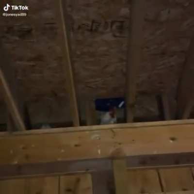 Credit: Jonesyad89 on tiktok