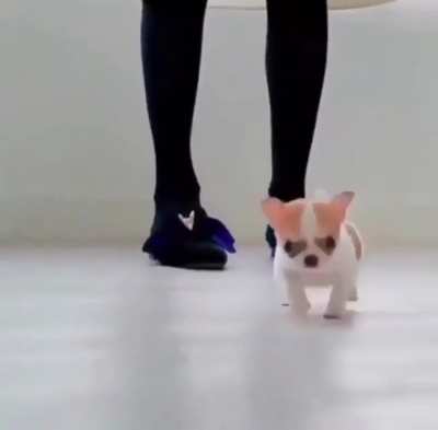 So smol, yet so much effort