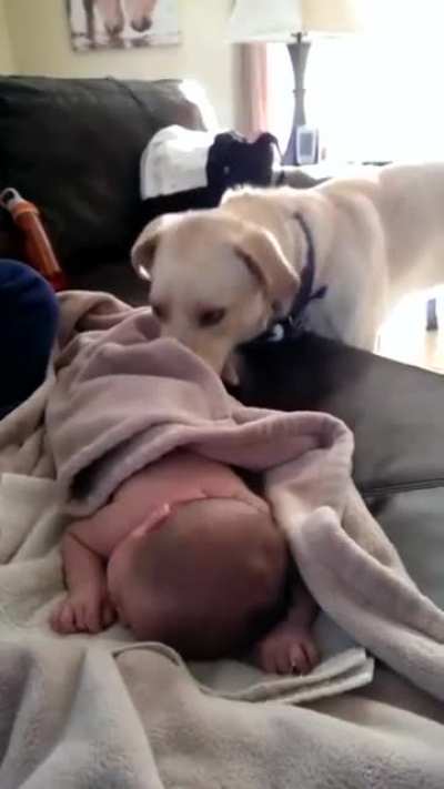 Time for a nap