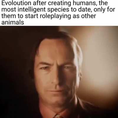 Evolution